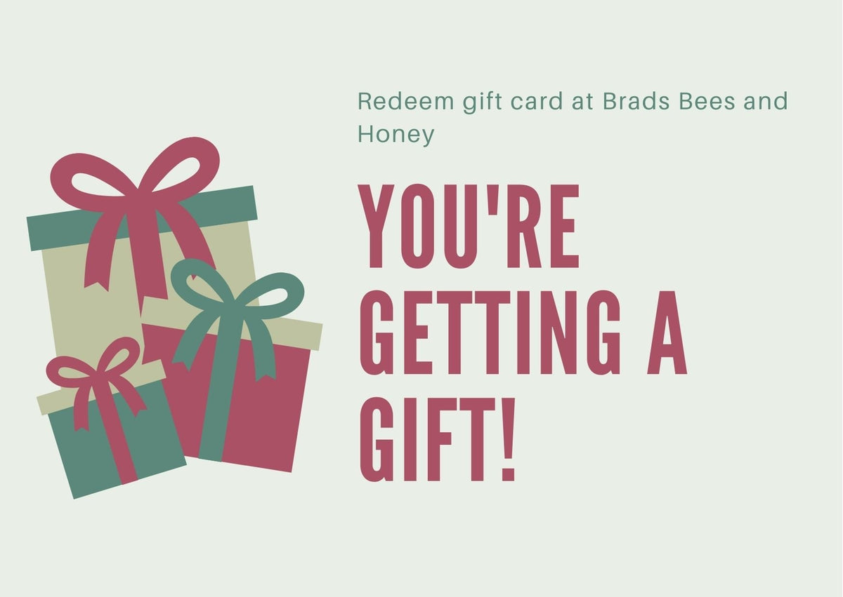 Voucher Gift Cards